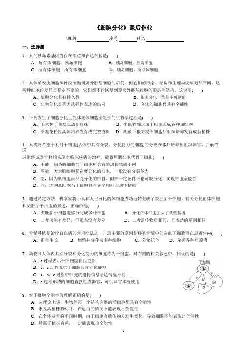 【精编】人教版高中生物必修一  细胞分化(练习题)含答案