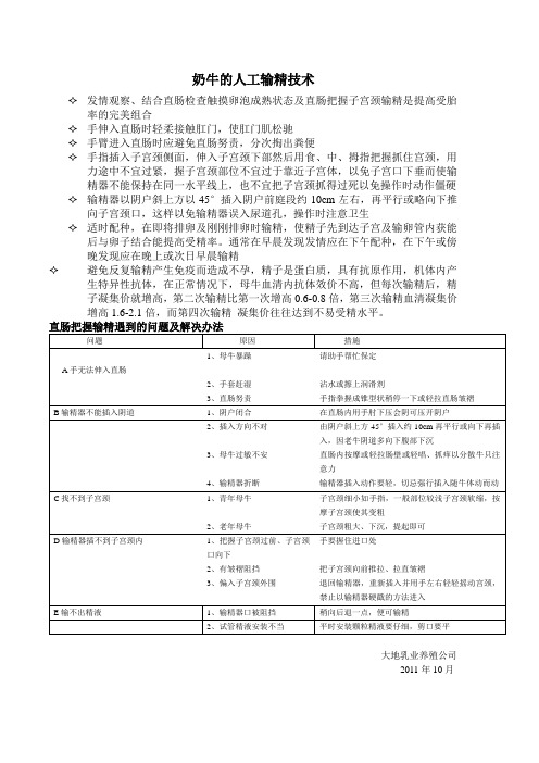 奶牛的输精技术