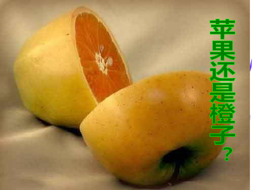 《送你一束转基因花》课件