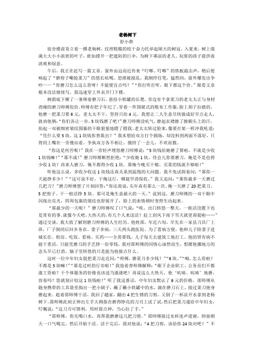 2020年中考语文文学类阅读《老杨树下 》练习及答案