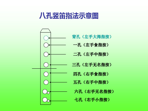 竖笛八孔指法教程