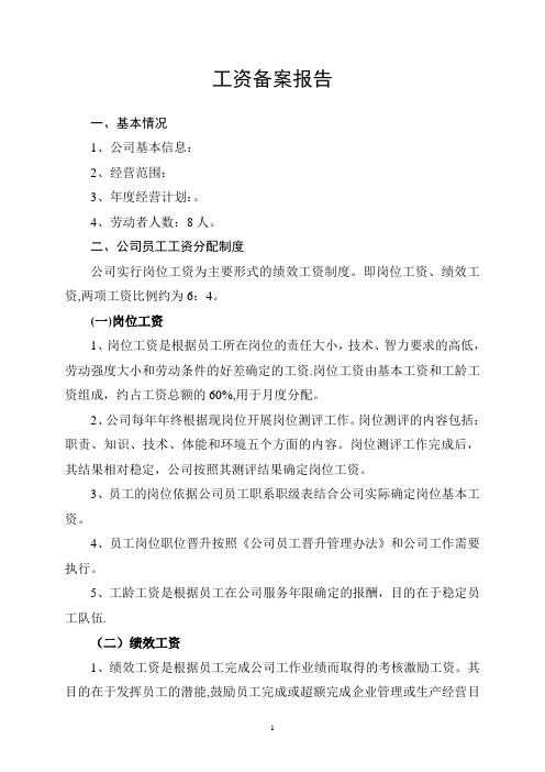 工资备案报告