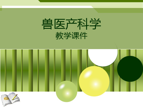 兽医产科学-母畜生殖功能的发生发展与调节-卵子发生与卵泡发育