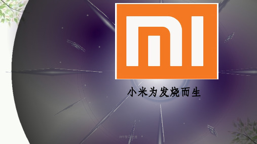 小米企业战略管理ppt课件