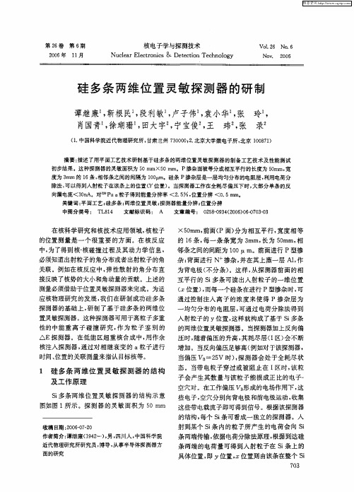 硅多条两维位置灵敏探测器的研制