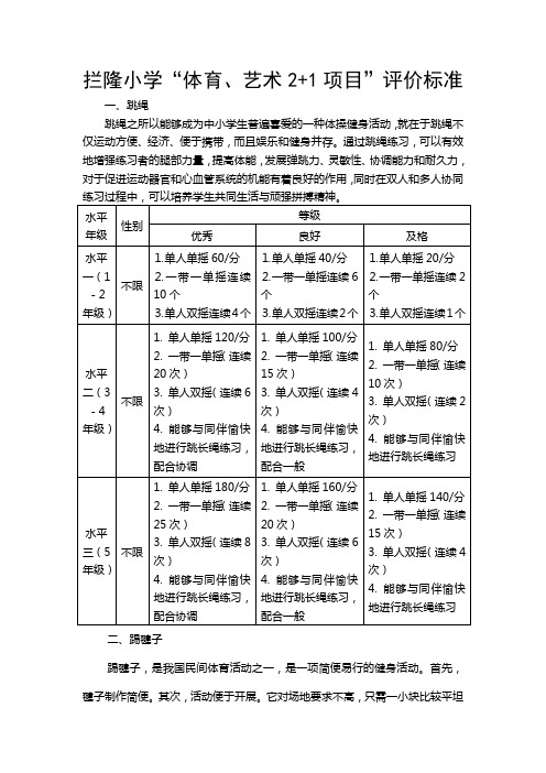 “体育、艺术2+1项目”评价标准