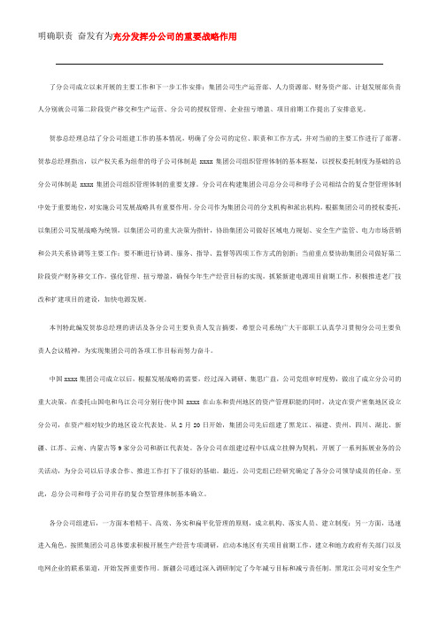 充分发挥分公司的重要战略作用