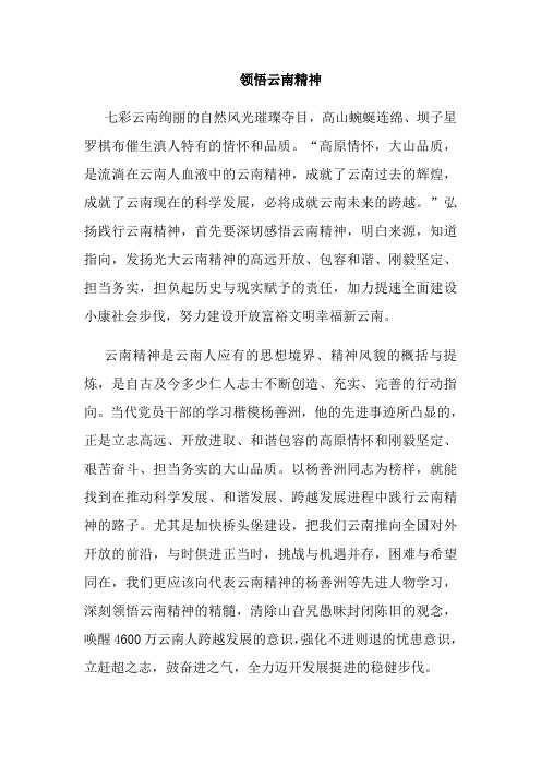 领悟云南精神