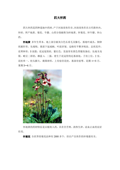 豫北名品 四大怀药