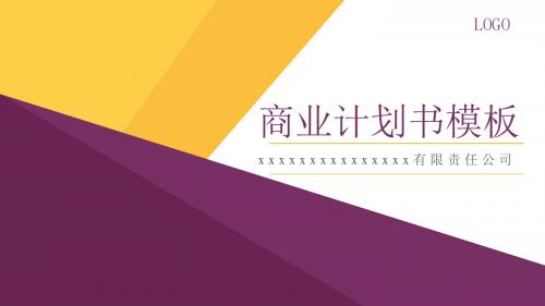商业策划PPC模板