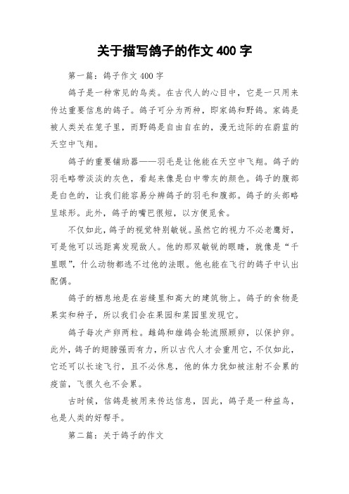 关于描写鸽子的作文400字_作文