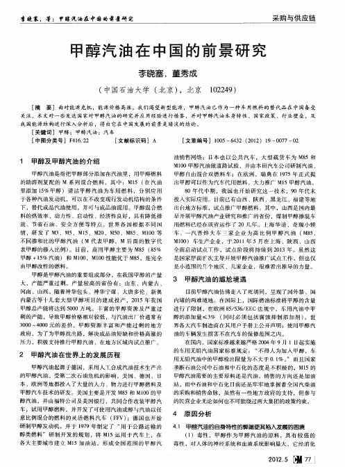 甲醇汽油在中国的前景研究