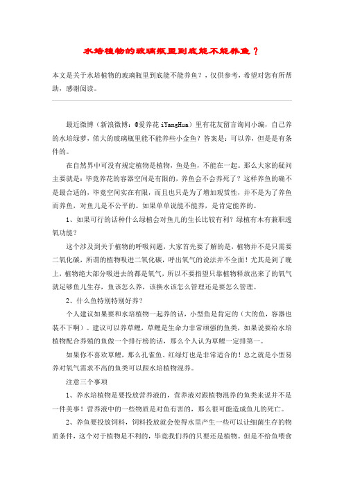 水培植物的玻璃瓶里到底能不能养鱼？