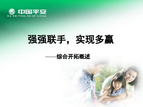 综合开拓概述