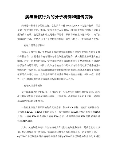 病毒抵抗行为的分子机制和遗传变异