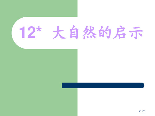 12大自然的启示PPT课件_1