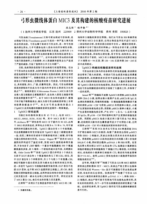 弓形虫微线体蛋白MIC3及其构建的核酸疫苗研究进展