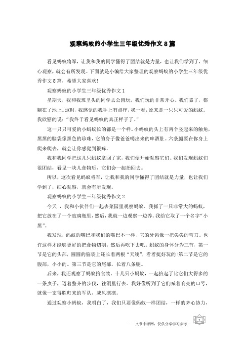 观察蚂蚁的小学生三年级优秀作文8篇