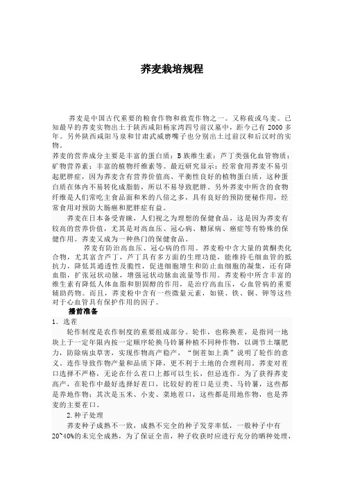 荞麦