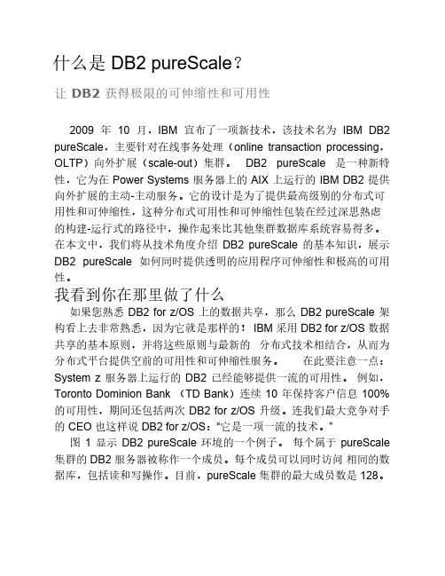 什么是_DB2_pureScale？