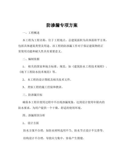 防渗漏专项方案