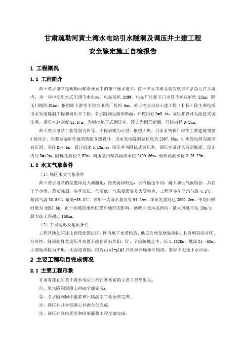 蓄水安全鉴定施工自检报告