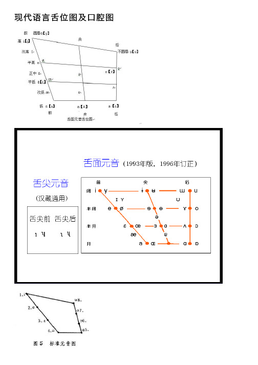 现代语言舌位图及口腔图