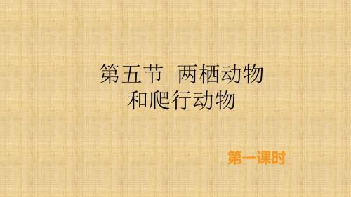 初中八年级生物上册 5.1.5《两栖动物和爬行动物》(第1课时)名师优质课件 (新版)新人教版