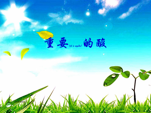 九年级科学上册 第2章 酸与碱 2《重要的酸》课件 华东师大级上册自然科学课件