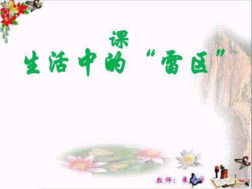 生活中的“雷区”ppt优秀课件1