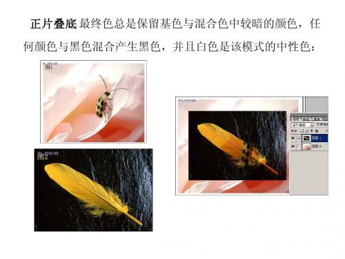 图层的混合模式