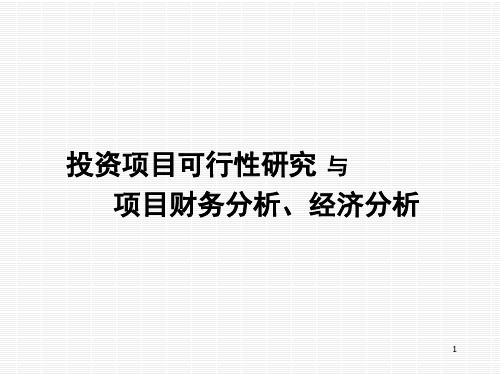 财务分析-投资项目可行性研究与项目财务分析、经济分析 精品