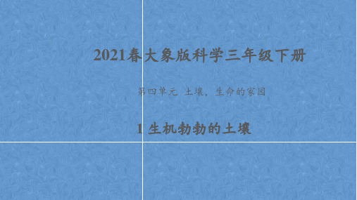 2021春大象版科学三年级下册第四单元《土壤,生命的家园》课件