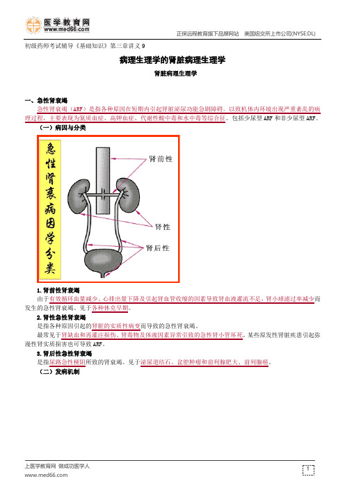 肾脏病理生理学--初级药师考试辅导《基础知识》第三章讲义9