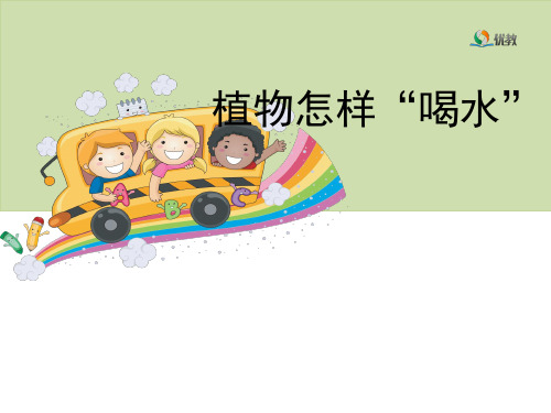 《植物怎样“喝水”》教学课件[优质ppt]