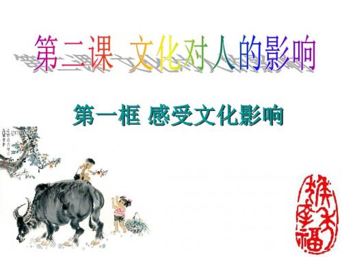 第二课文化对人的影响