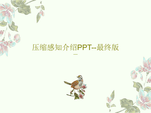 压缩感知介绍PPT--最终版57页PPT