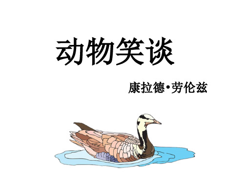 人教部编版七年级上册第五单元第17课《动物笑谈》课件(共20张PPT)
