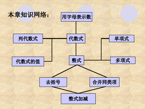 七年级数学字母表示数(PPT)5-1