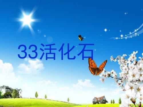 33用《活化石》(1-2课时)课件.ppt