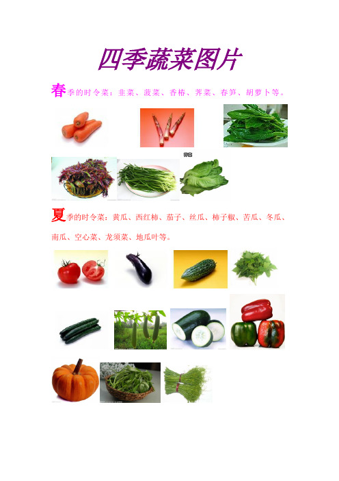 蔬菜按季分类图片