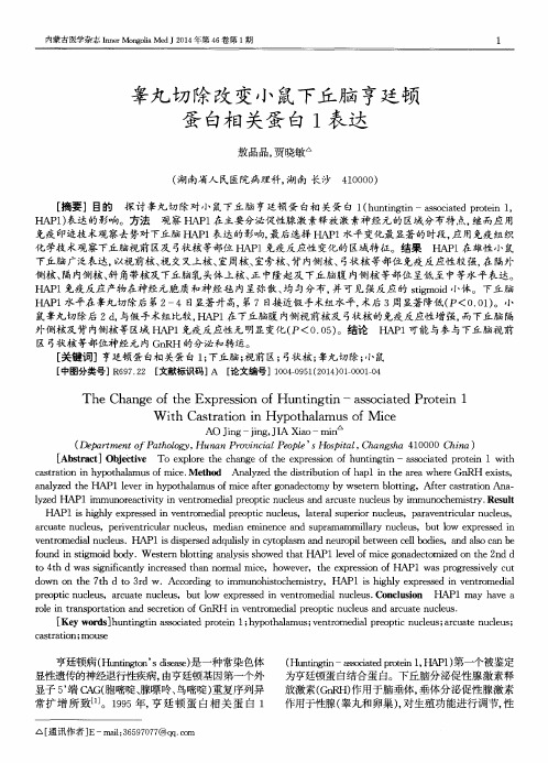 睾丸切除改变小鼠下丘脑亨廷顿蛋白相关蛋白1表达