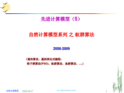基因表达式编程教学5PPT课件