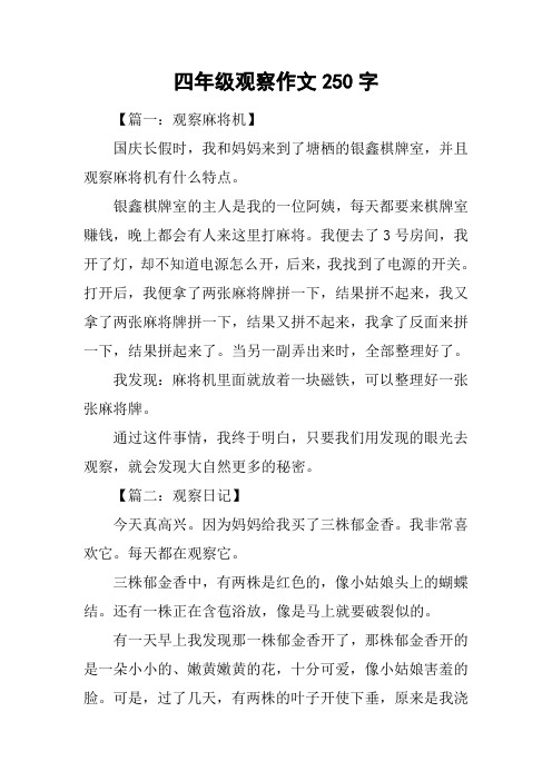 四年级观察作文250字