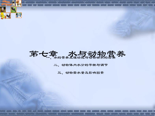 教科版科学三年级上册4.1_水与动物营养