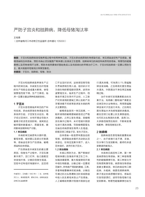 严防子宫炎和肢蹄病,降低母猪淘汰率