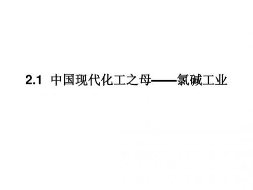 2.1中国现代化工之母氯碱工业(llz)