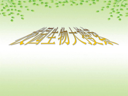 《校园生物大搜索》生物的多样性PPT课件三