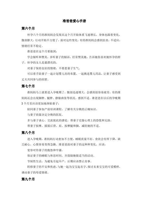 准爸爸爱心手册