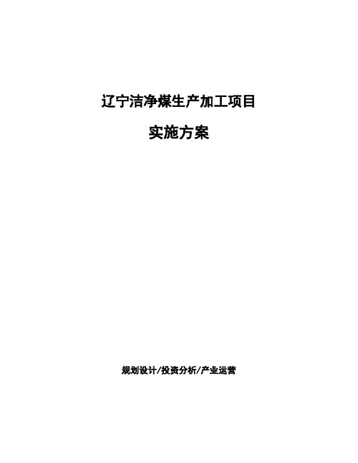 辽宁洁净煤生产加工项目实施方案